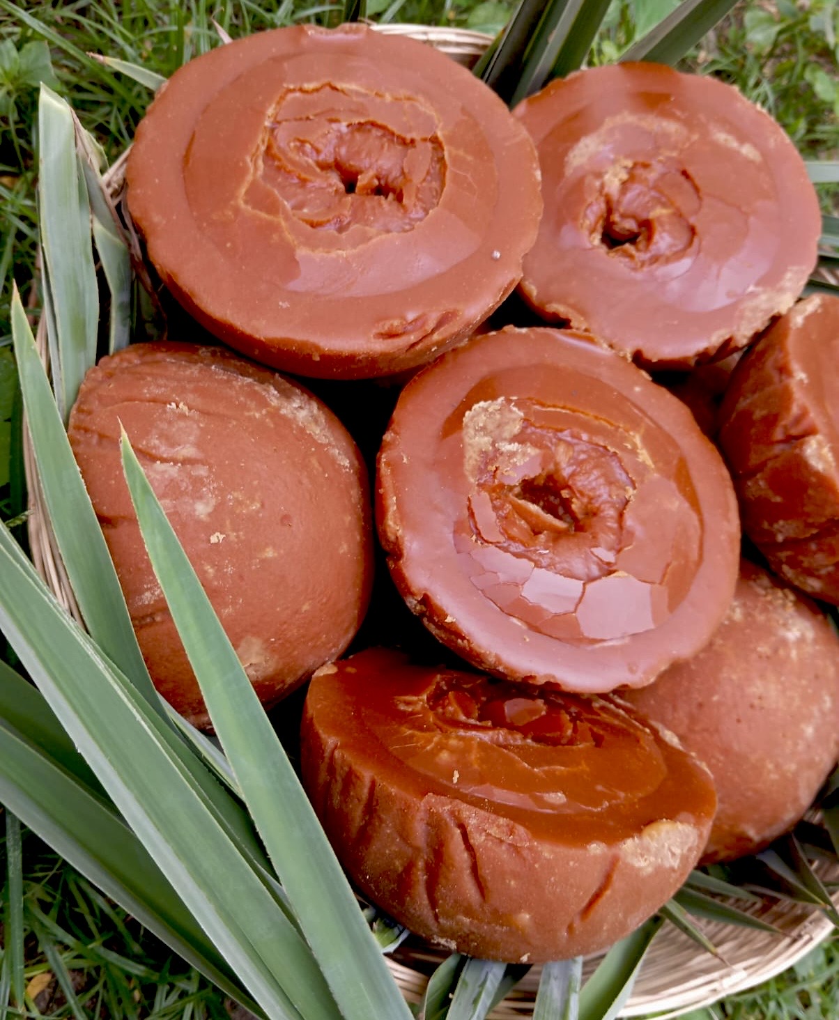 Khejur Patalai Gur ( খেজুরের পাটালী গুড় )